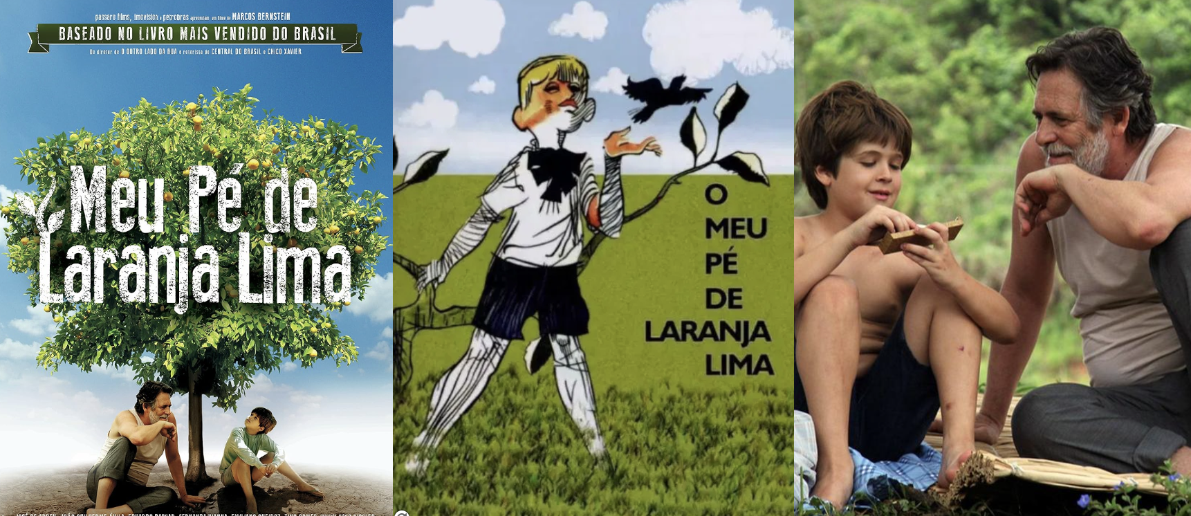 나의라임오렌지나무 감상문