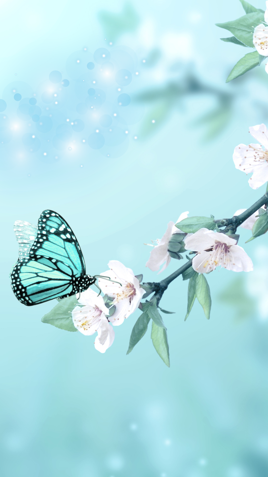 스마트폰 봄 계절 꽃 배경화면 사진 이미지 모음