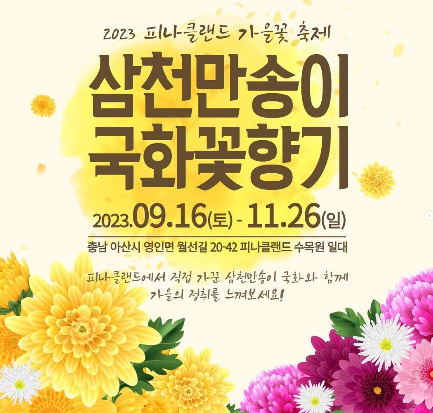국화꽃 추제