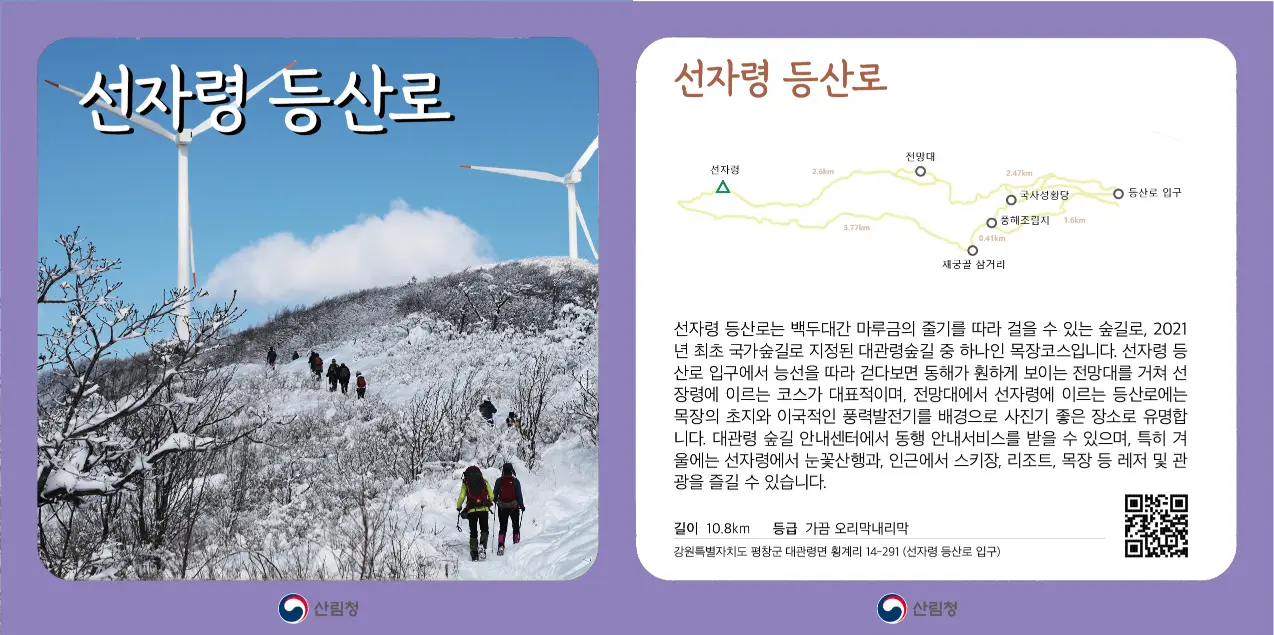 선자령_등산로