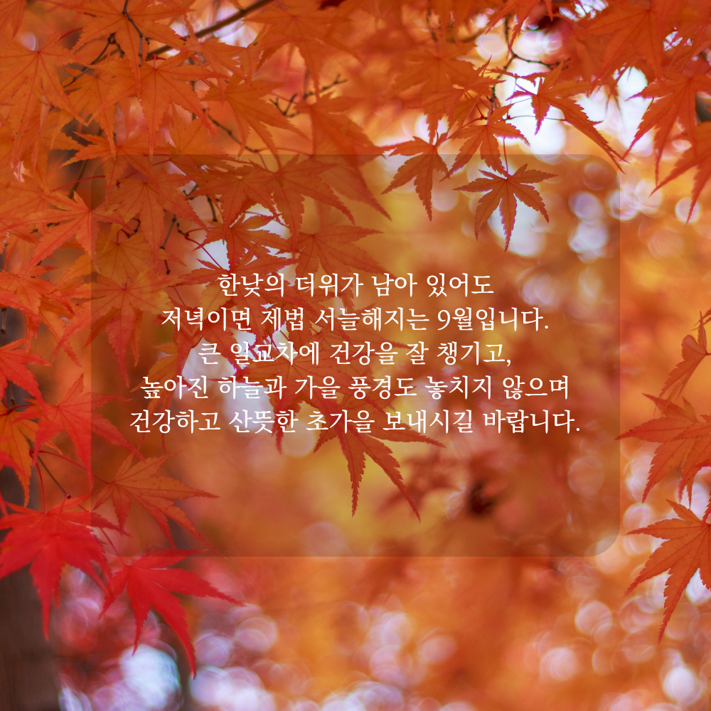 9월 가을 인사말 - 일교차와 초가을 풍경