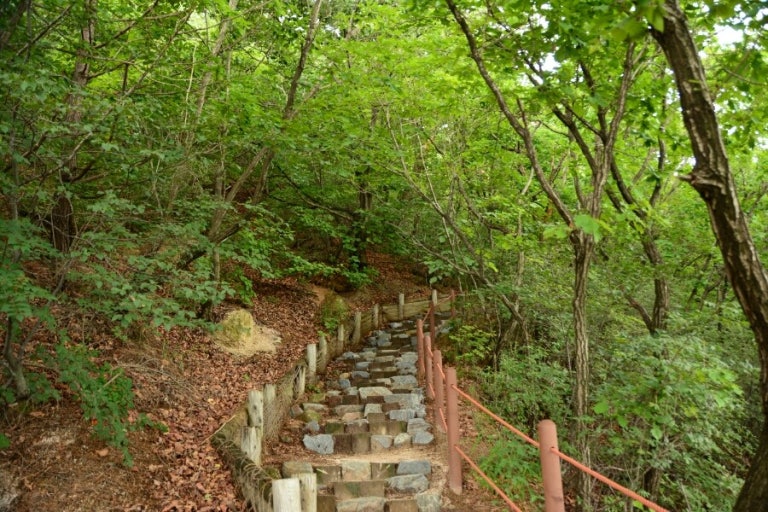 서울·경기도 근교 힐링 산책로 추천｜난이도별 12곳 총정리 관련 사진