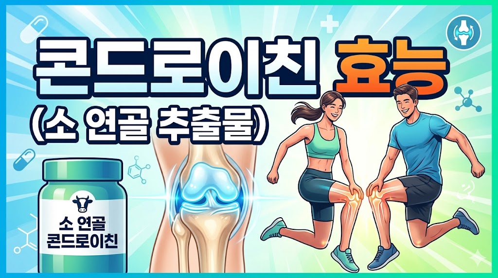 콘드로이친 효능