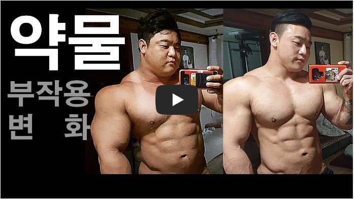 운동 피트니스 유튜버 순위 TOP 10 5