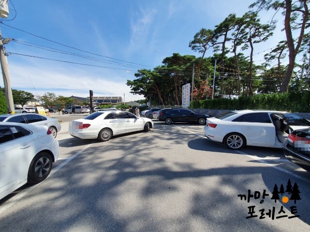 순두부젤라또 주차장