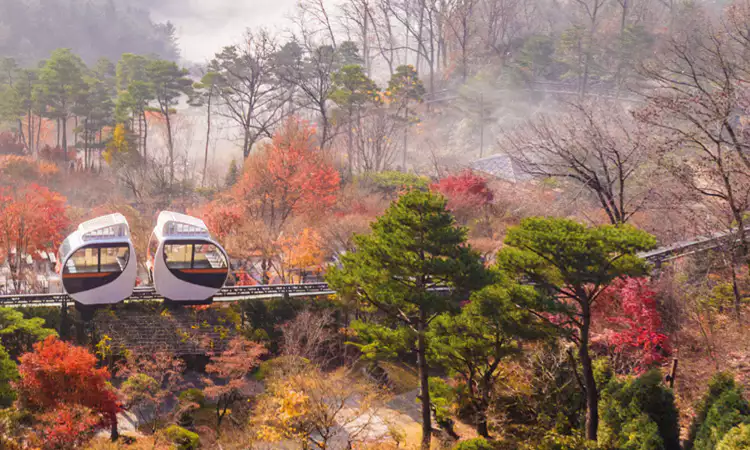 화담숲-예약-꿀팁-홈페이지-예약방법-모노레일-사전예약-화담채-관람-가이드-2024-단풍축제-일정-설명-이미지