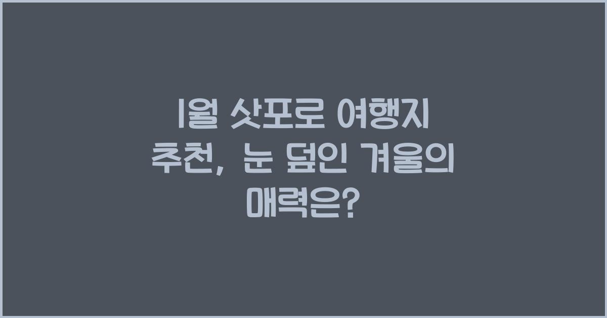 1월 삿포로 여행지 추천
