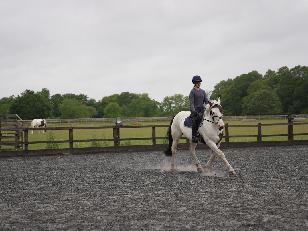 trot