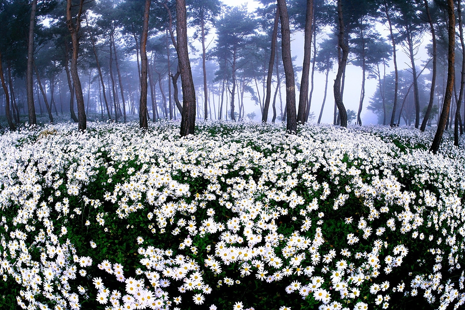 정읍 가볼만한곳 베스트10