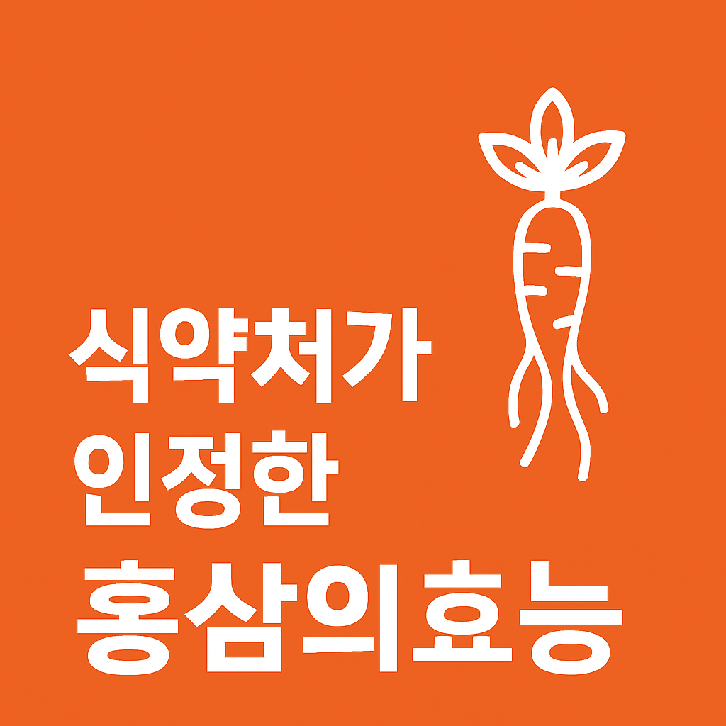 식약처 인정 홍삼의 효능