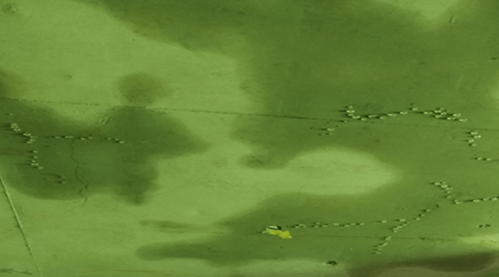 천장누수의 시각적탐지