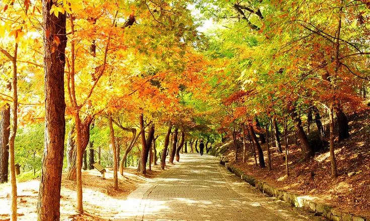 부모님과 떠나는 부여 효도 여행 코스