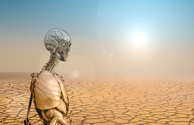 체감온도 35℃ 이상 지속 시의 열사병 응급처치 및 예방 수칙