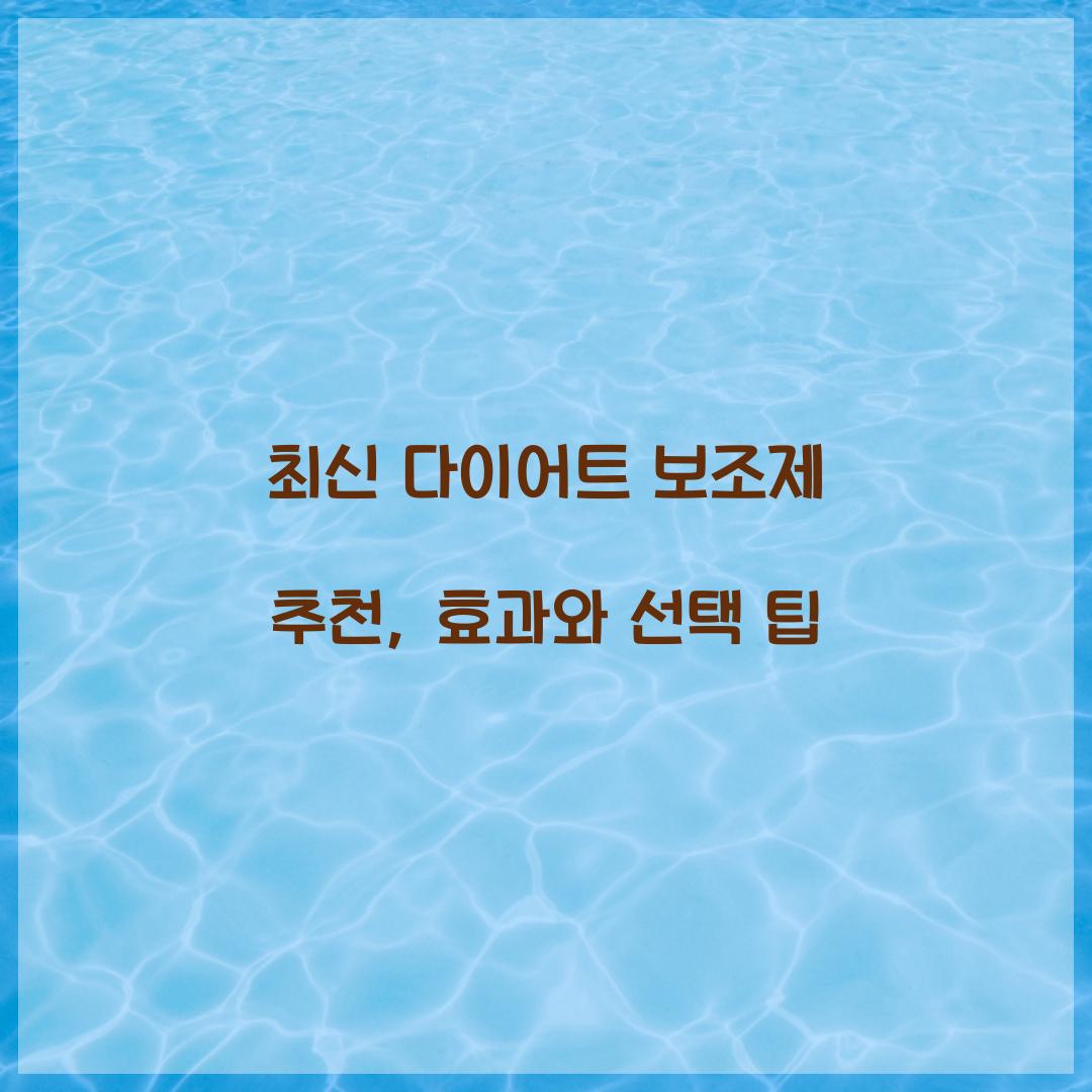 다이어트 보조제 추천