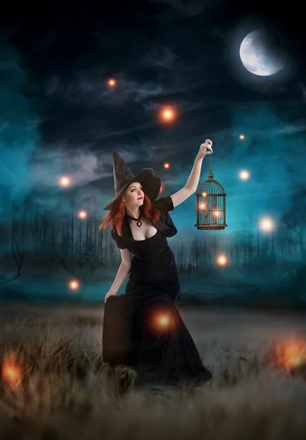 안터마을 반딧불이 축제 기본정보, 세부 일정, 프로그램