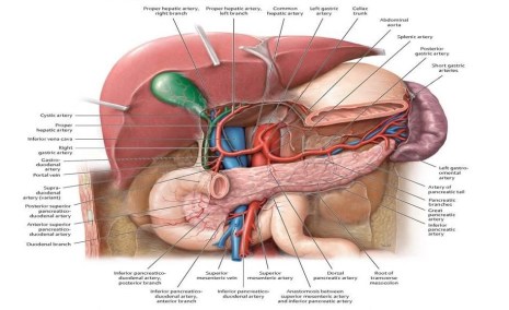 오른쪽 옆구리 통증 의심되는 병