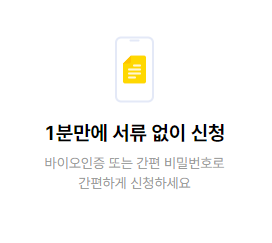 소액대출 100만원
