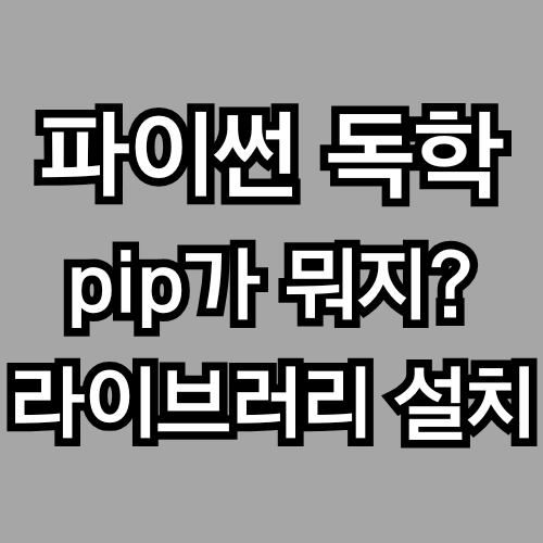 pip는 도대체 뭘까? – 설치부터 작동 원리까지 한 번에 이해하기 (파이썬 기초, 독학)