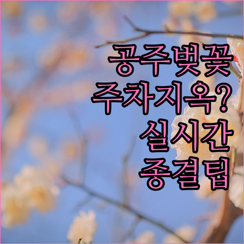 공주 벚꽃 명소별 특징과 주차 공간 ..