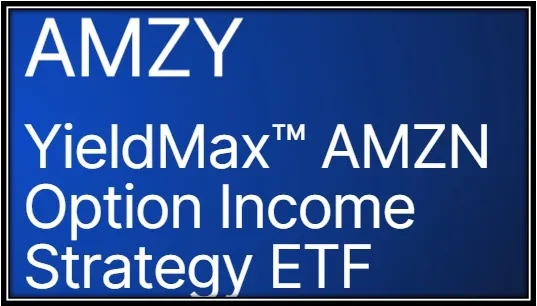 AMZY메인 이미지