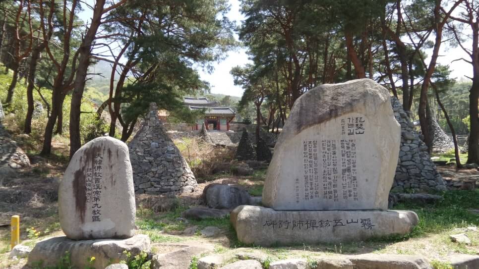 100대 명산 등산하기 서른세번째 대구 비슬산 봄철 참꽃군락지 여행객이 반드시 찾는 최고의 절정 풍경