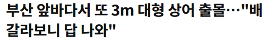 ㄴㅇㄱ하게 만드는 낚시하다가 경수진이 낚았다는 거…jpg | 인스티즈