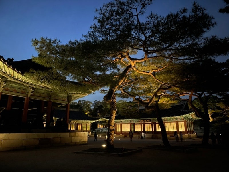 창경궁 무료관람 /창경궁 가는 방법 /창경궁 명소