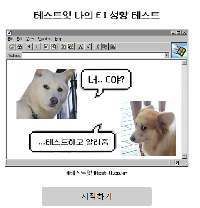 테스트잇