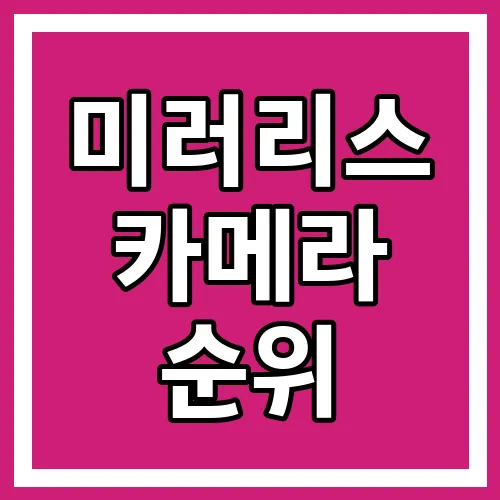 미러리스 카메라 순위