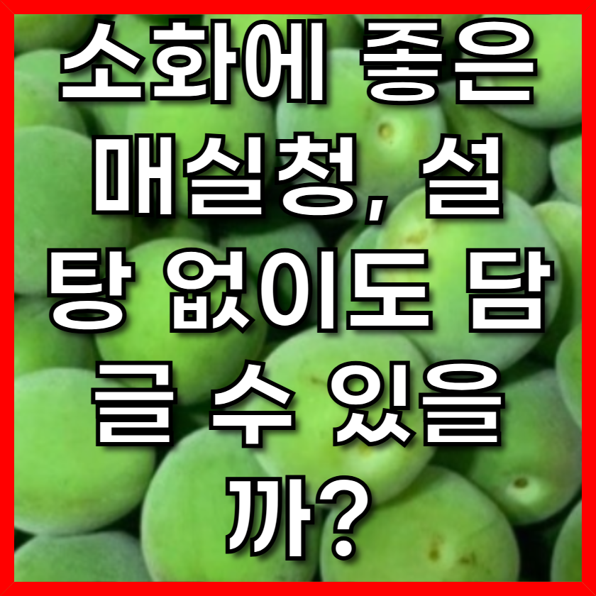 소화에 좋은 매실청, 설탕 없이도 담글 수 있을까?
