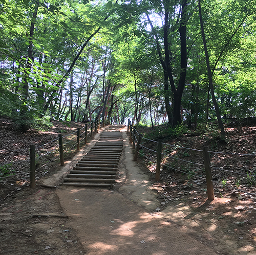 서울-선릉과-정릉-내부12