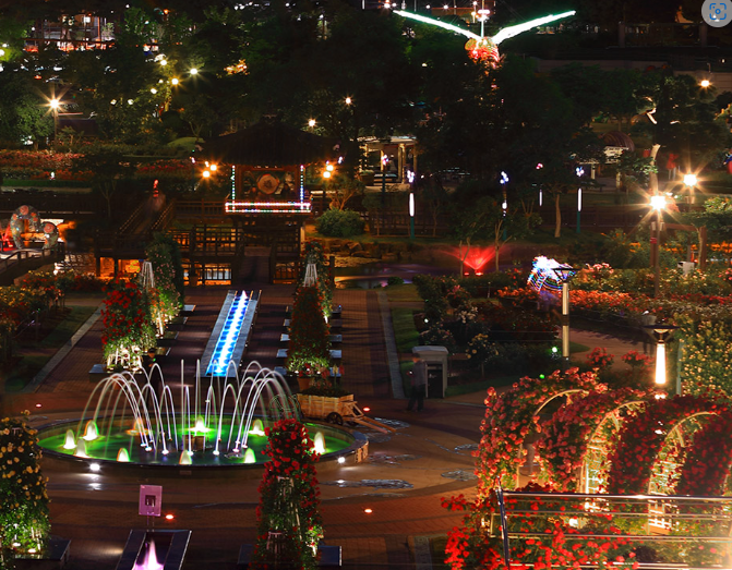 곡성 장미축제 기간