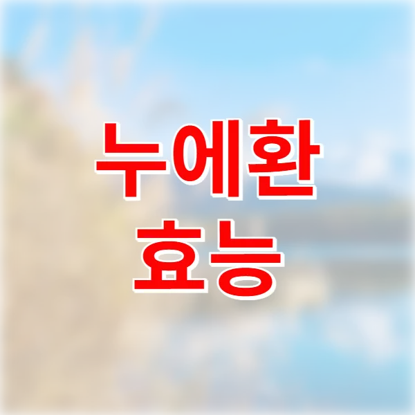 누에환 효능