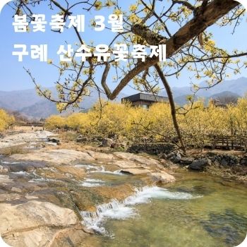 봄꽃축제 3월 광양 매화축제 구례 산수유꽃축제