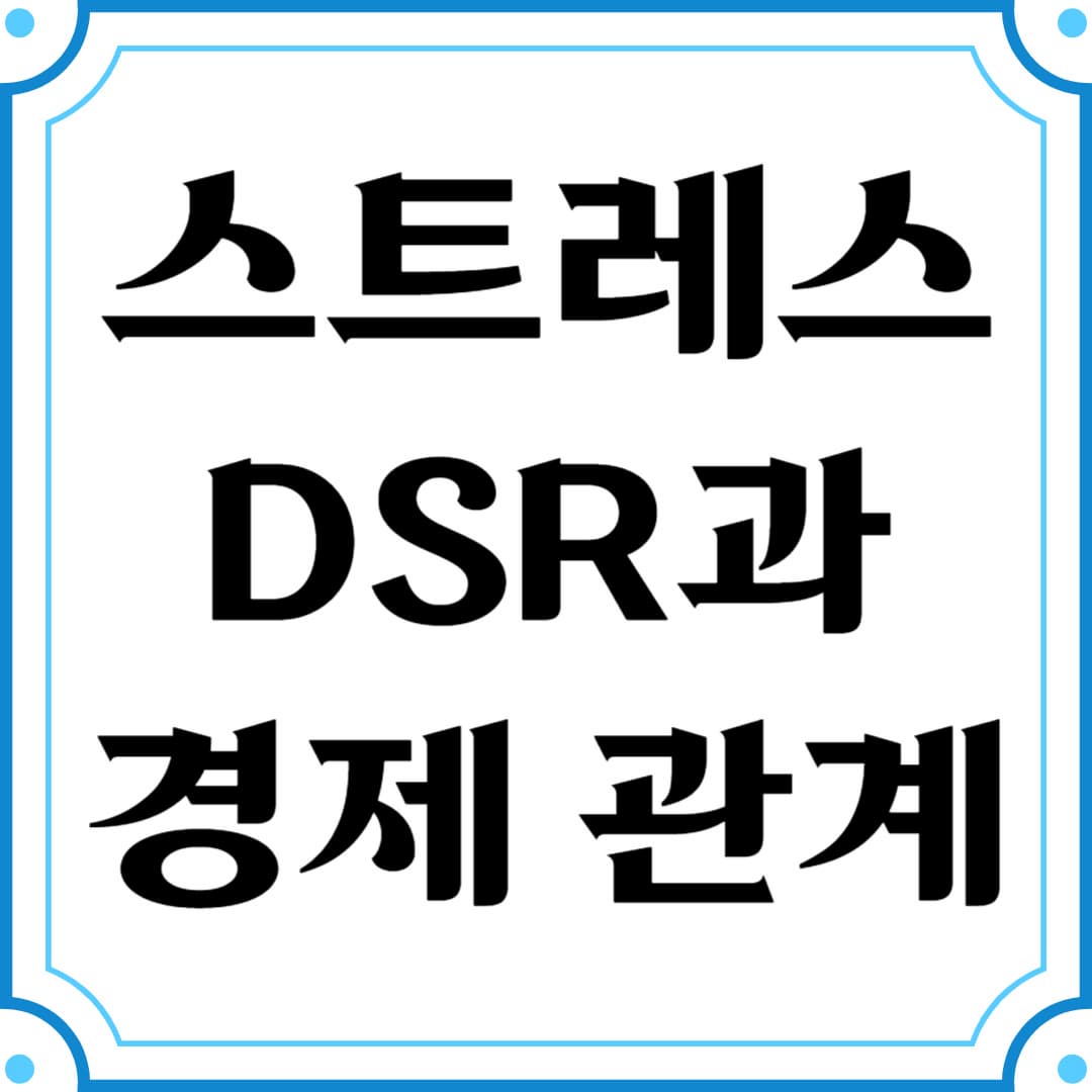 스트레스 DSR과 경제 전반의 관계