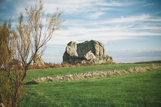 프랑스 몽플라캉 오데르빌 풍경