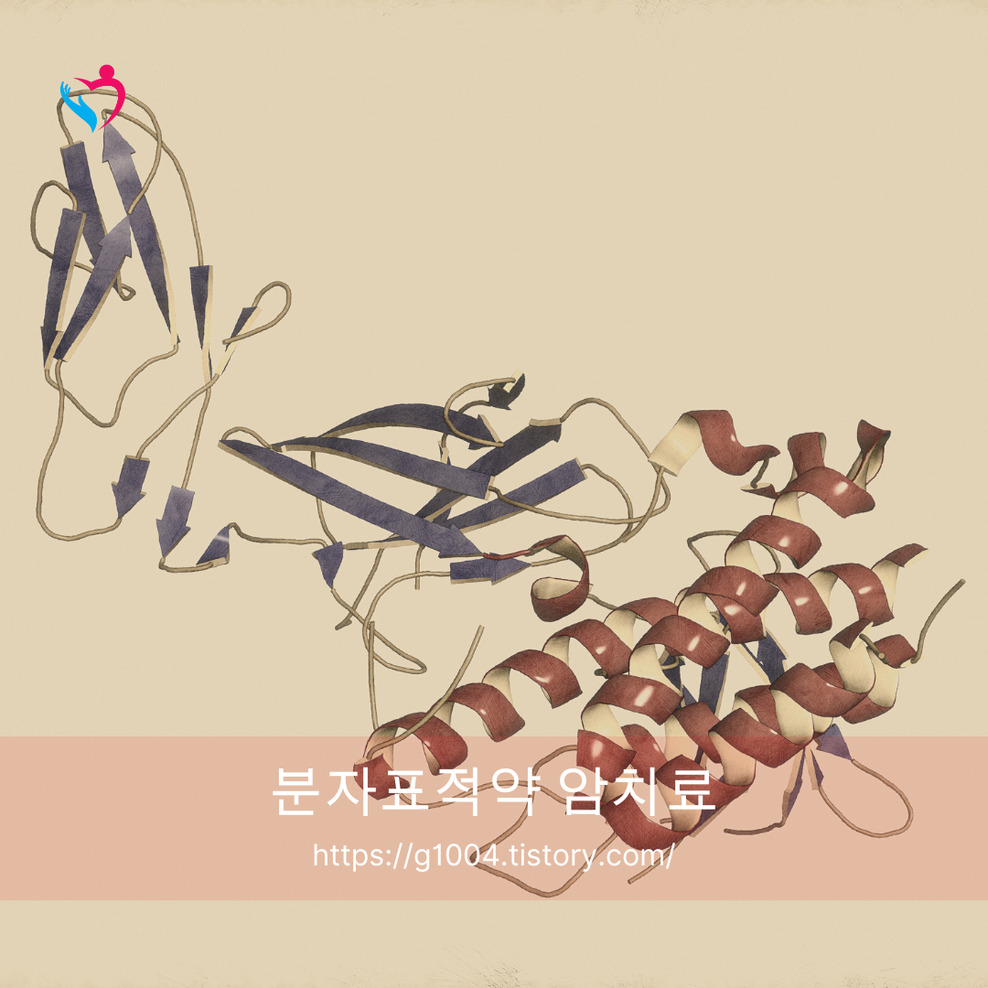 분자표적약 암치료
