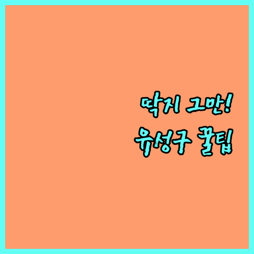 유성구 주정차 단속 알림 서비스 이용..