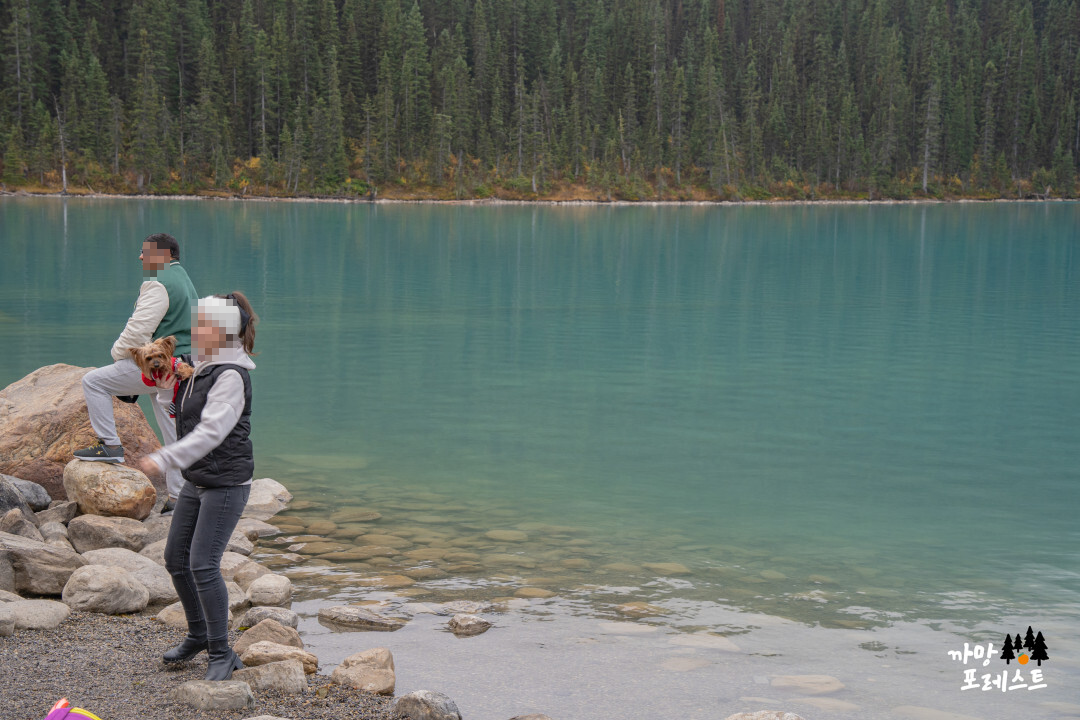 캐나다 레이크 루이스 데이트