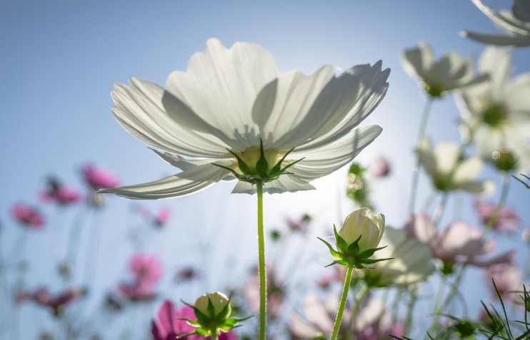 주말 가을 날씨 관련 사진