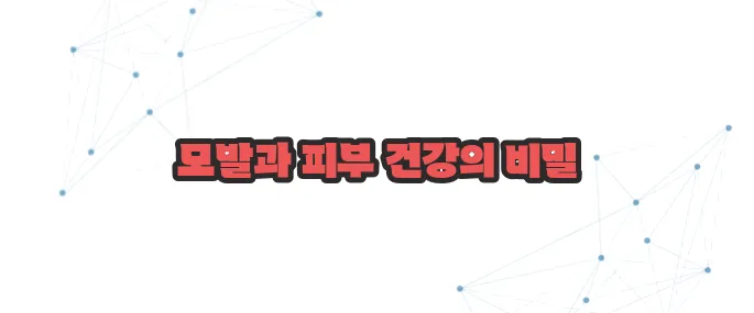 비오틴 효능  이보다 자세히 설명할순없다