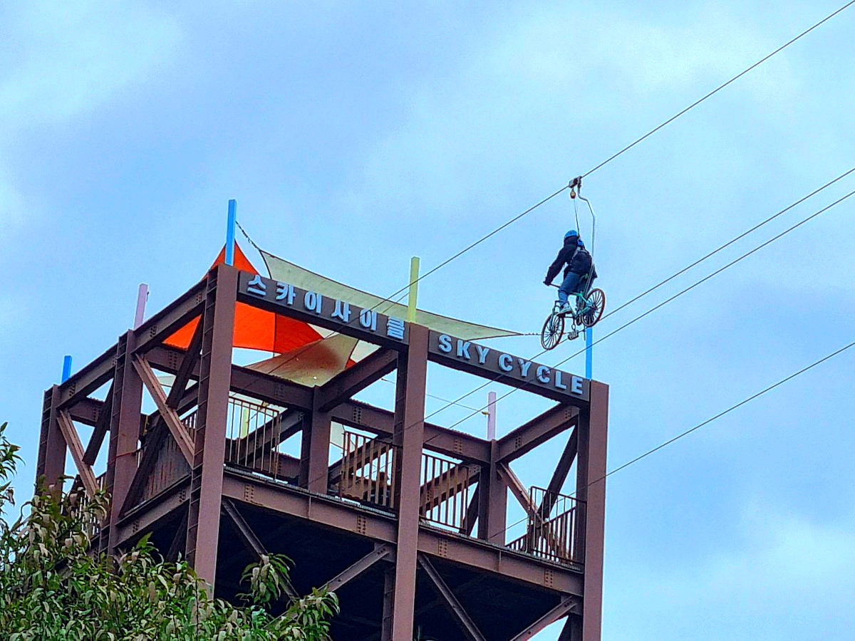 동해 묵호 가볼만한곳 도째비골 스카이밸리 총정리|입장료·전망·레포츠·스탬프투어