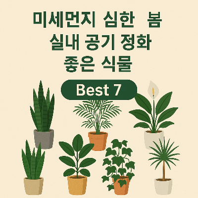 봄철 미세먼지

공기정화 식물

실내 공기 정화

미세먼지 제거 식물

반려동물 안전 식물

아이와 함께 키우는 식물

무독성 식물 추천

실내 식물 인테리어

식물 독성 여부

공기 좋은 집 만들기