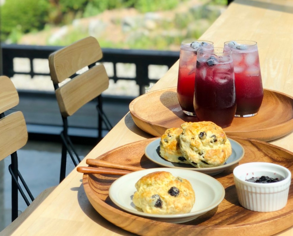 생방송오늘아침 시골에서 돈을 벌다 귀농카페 썸네일