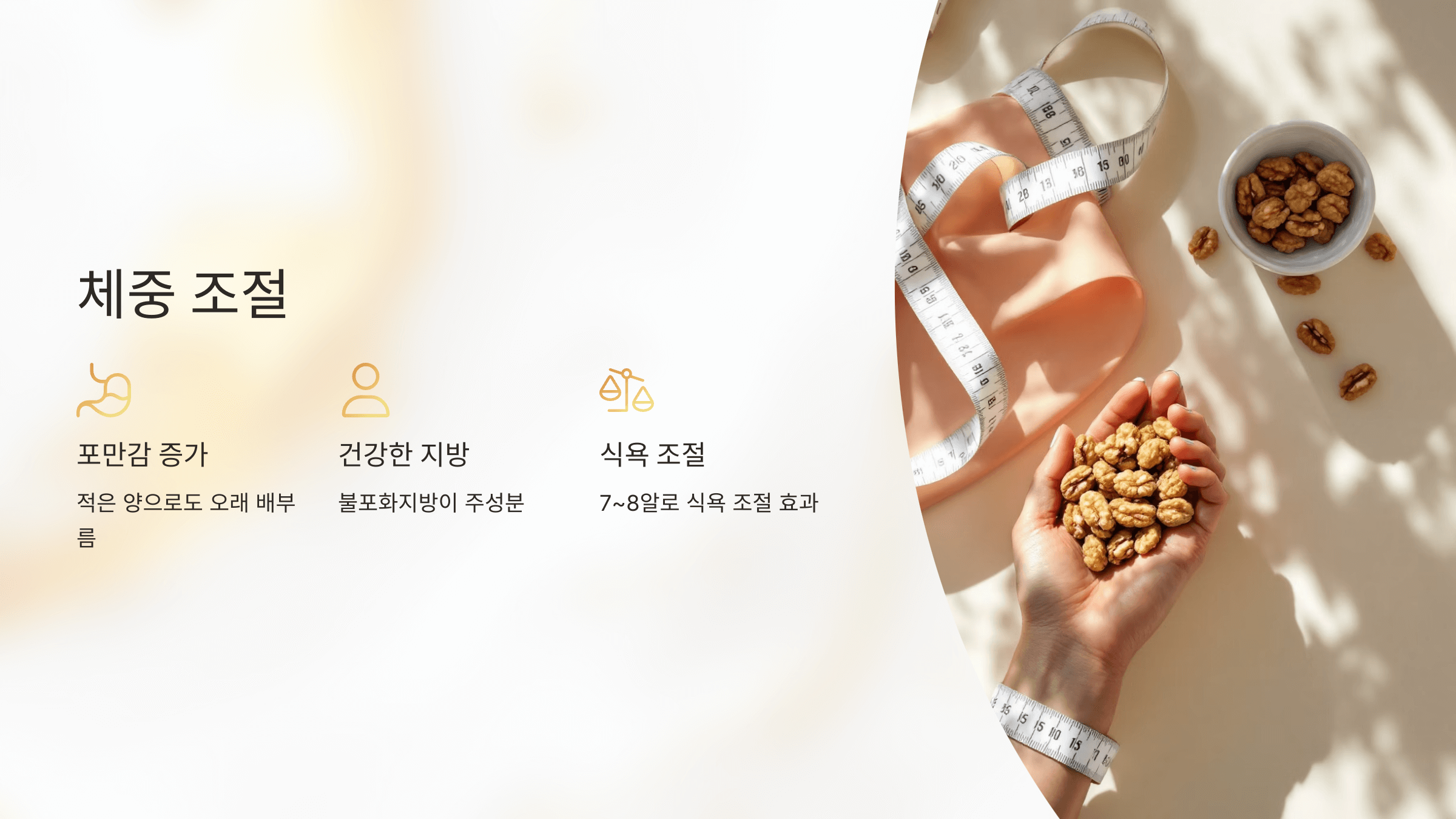 호두 사진입니다.