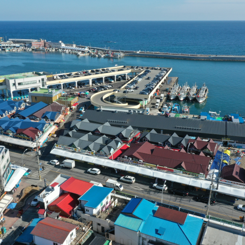 강릉 5일장(오일장) 장날 먹거리 여행코스