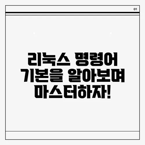 리눅스 명령어 기본을 알아보며 마스터하자!