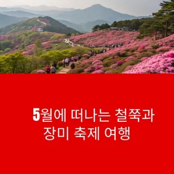 5월 가봐야할 전국 축제 10선 가족 연인 최고 명소_6