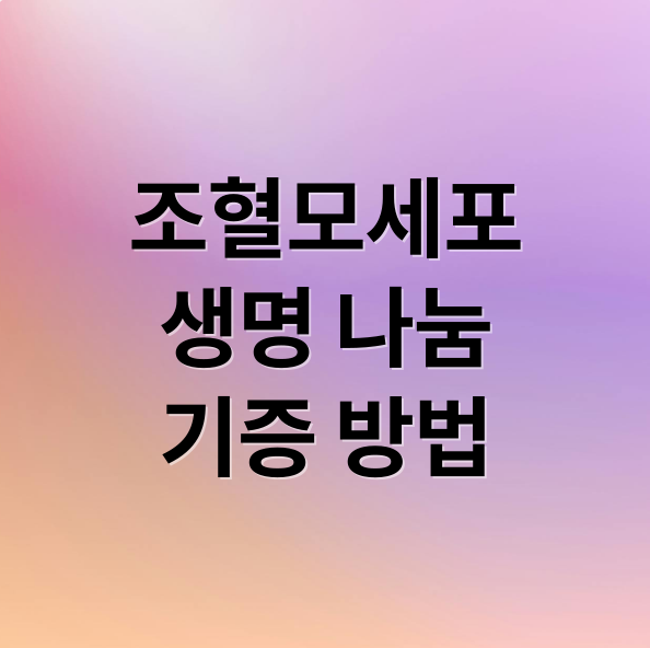 조혈모세포 기증