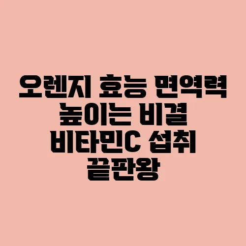 오렌지 효능 면역력 높이는 비결 비타민C 섭취 끝판왕